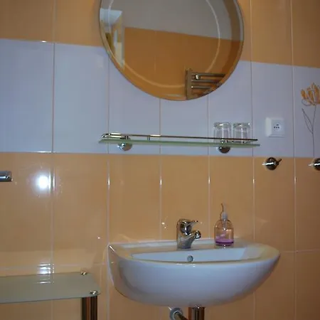 Homestay U Brozu Homestay